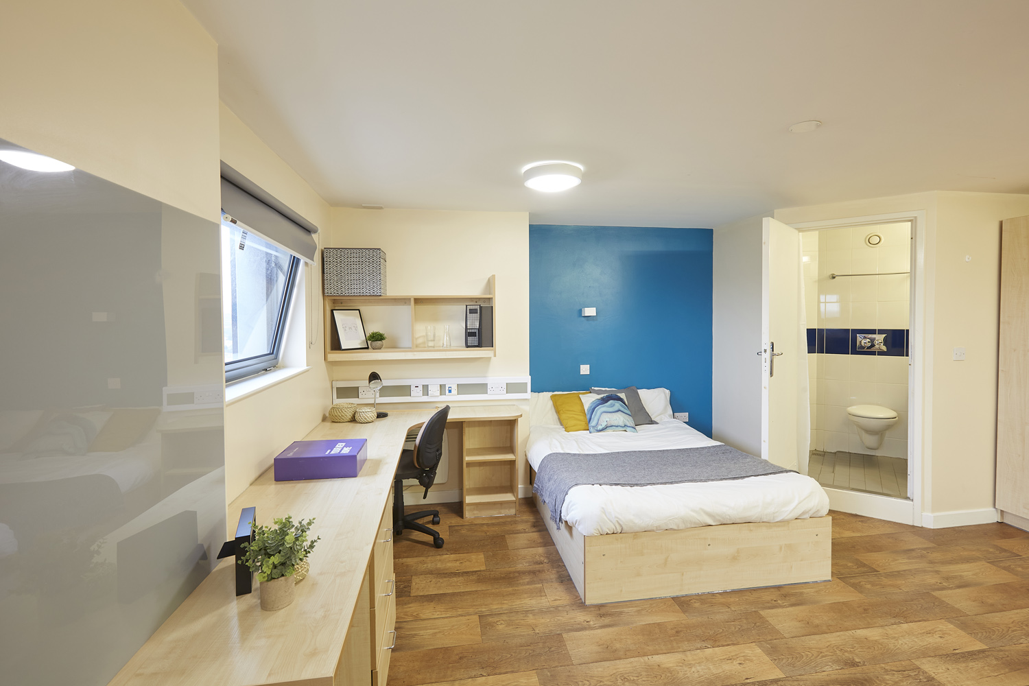 Large living space with ensuite toilet