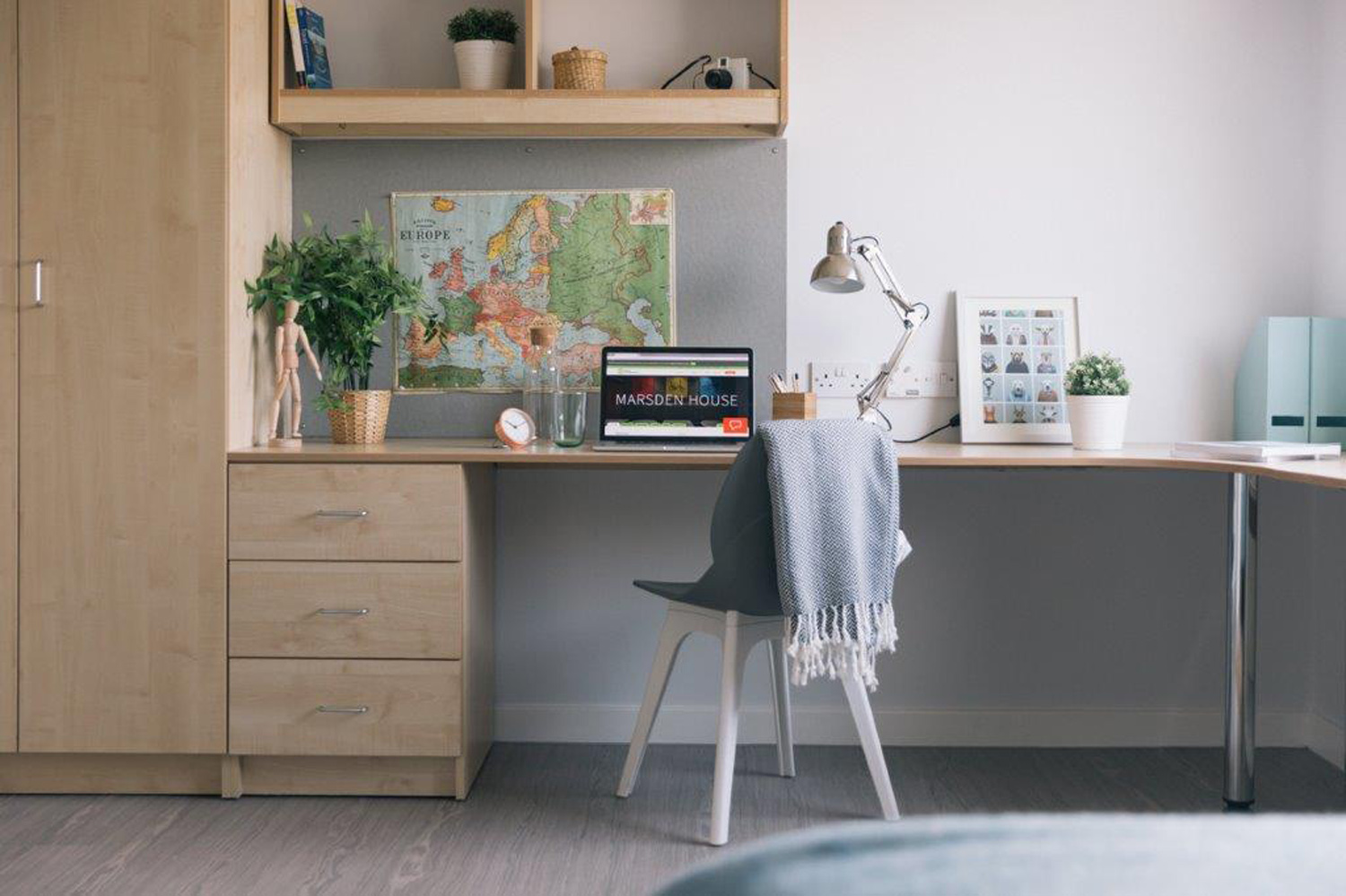 Large, modern desk space with laptop and plants
