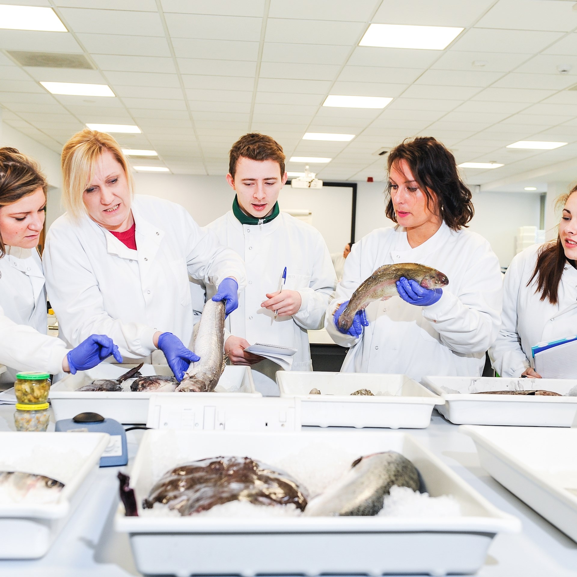 Practical Food Work Practical Food Inspection Course and CIEH Practical Food Examination ...