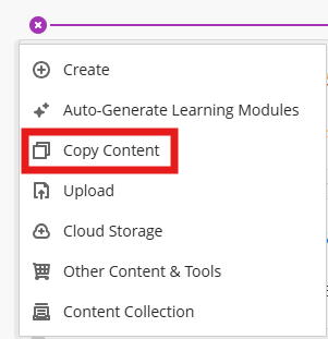 copy items tool
