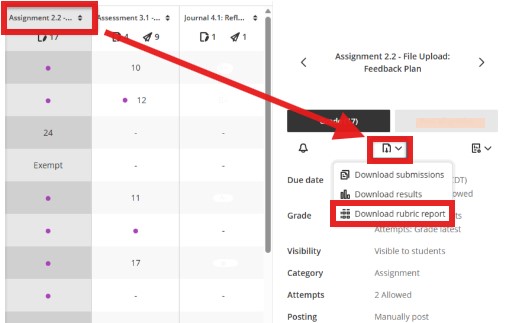 Download a Blackboard Rubric Report by selecting the Grade Centre column header in Grid View. The assignment overview will be visible, select the middle icon to Download the Rubric Report. If it is not listed there is no rubric used to mark the assignment. Use the arrows to navigate to the next assignment,