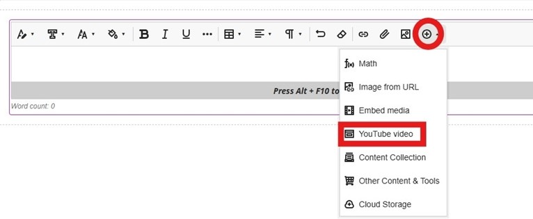 Content block within a document with Plus icon to embed YouTube Video