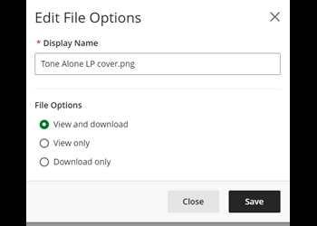 Upload file edit file options