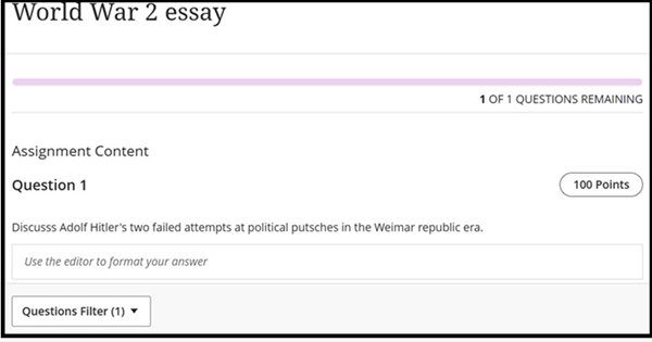 The screenshot is of a student view showing one of the four essay questions in the random pool:
