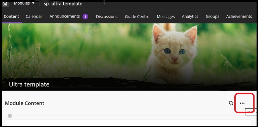 Export content first Jan 26