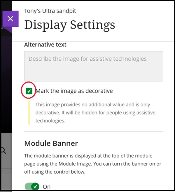 display settings rev alt text RH 8