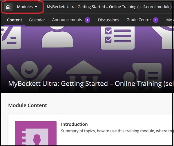 main module page modules and home 1