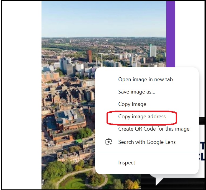 Text box RH lists insert content image url 3g