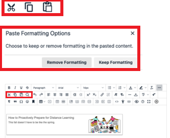 Example of the cut, paste and find function in Content Editor
