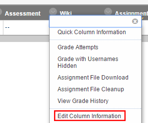 Edit Column Information option