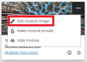 edit module image