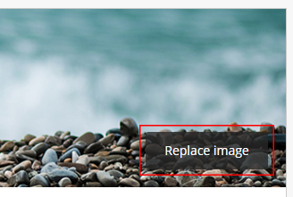 Replace image button