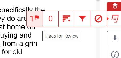 flags for review indicated
