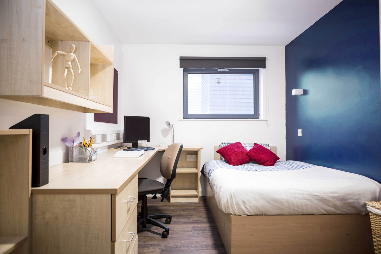 Arena Village bedroom space, a desk lines one wall on the other is a bed against a dark blue feature wall