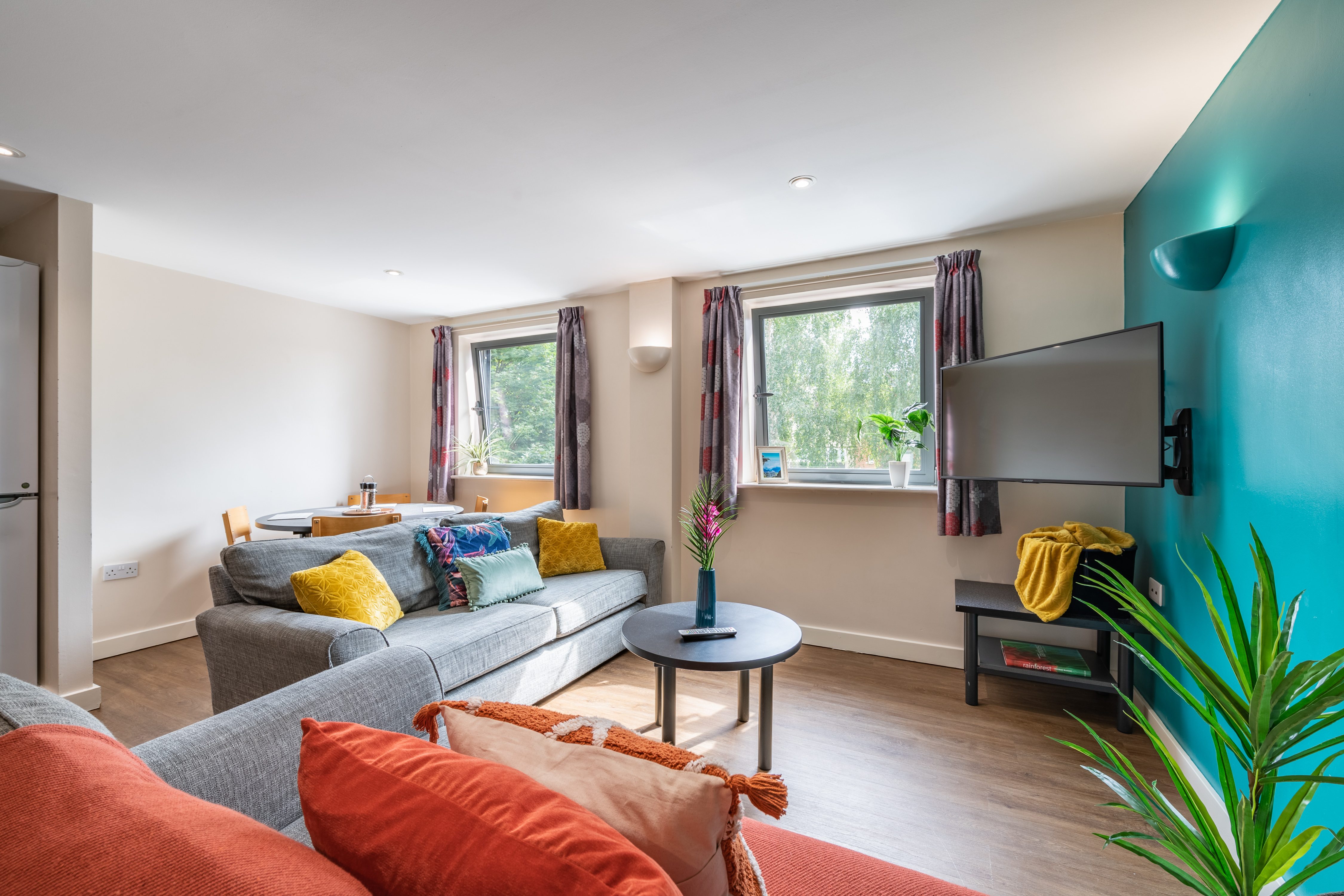 A living room with Tv on the wall, the sofas are gathered around it