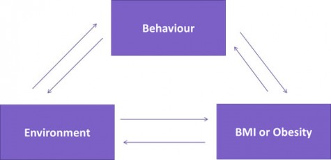 Individual behaviour chart