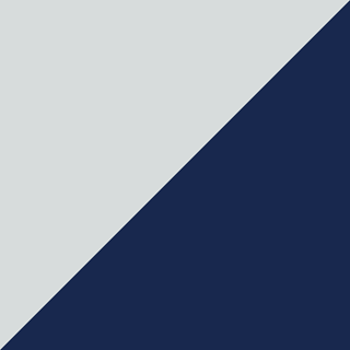 Graphics image of light grey and dark blue triangles