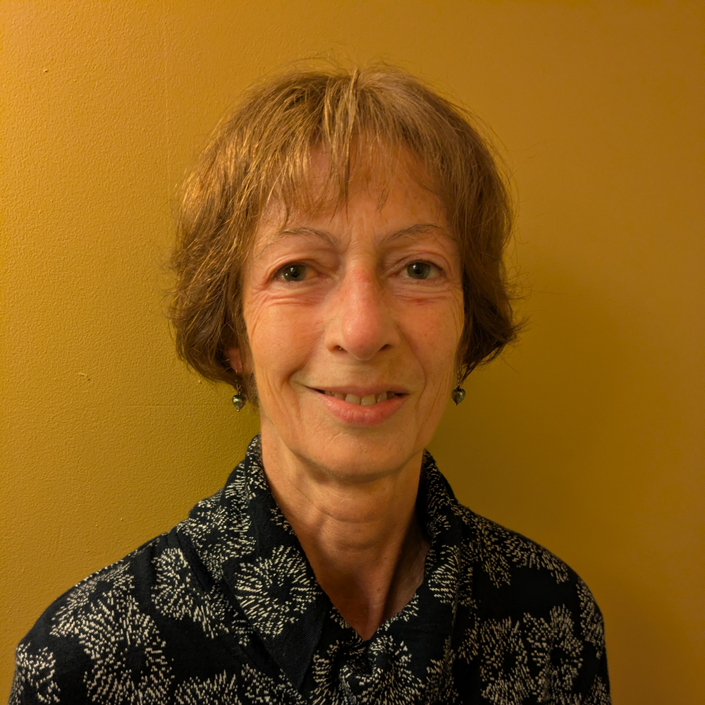 Professor Sharon Huttly profile image