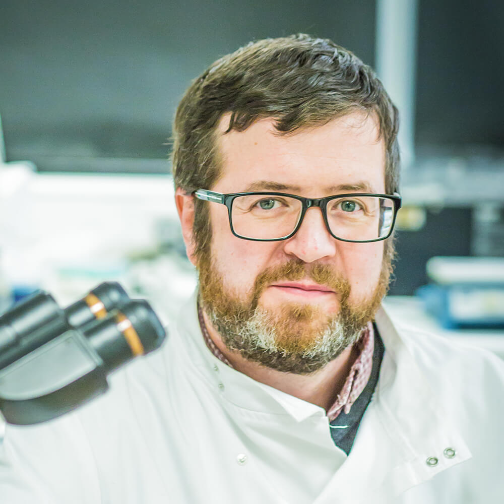 Professor Jim Boyne staff profile image