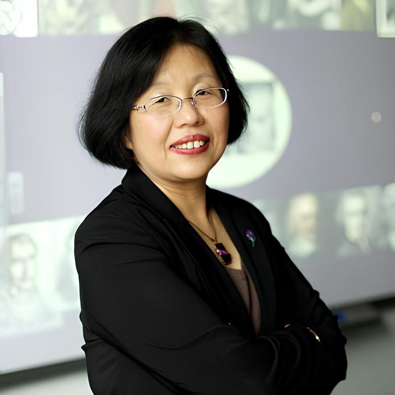 Professor Junjie Wu profile image
