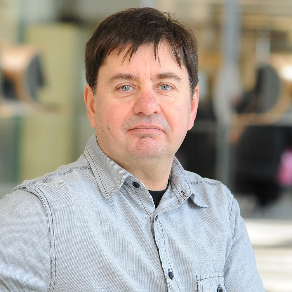 Professor Steve Robertson profile image