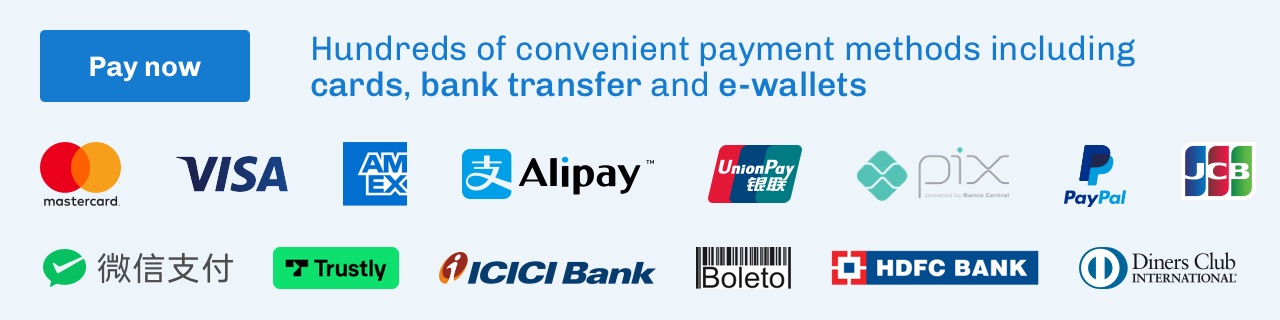 Flywire pay now banner with banking icons