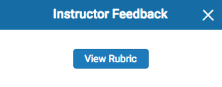 View Rubric Button